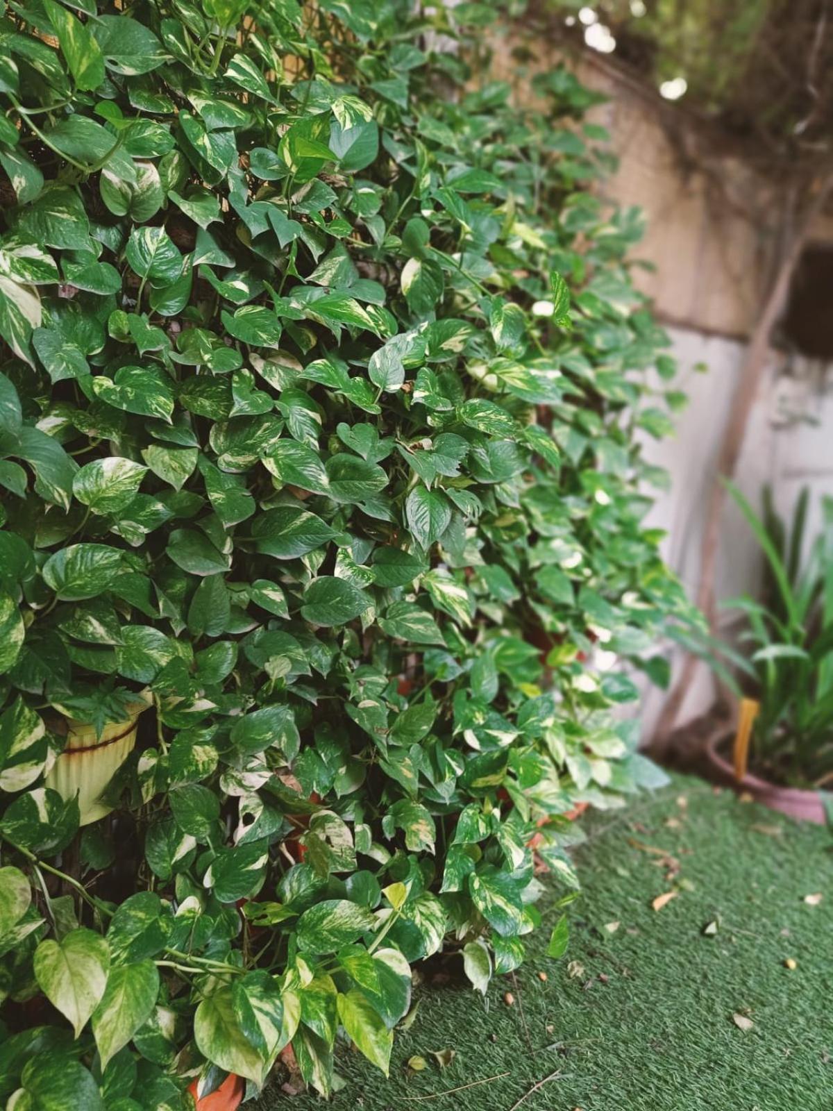 Srinekatan Heritage Villa Homestay Ahmedabad Exterior photo